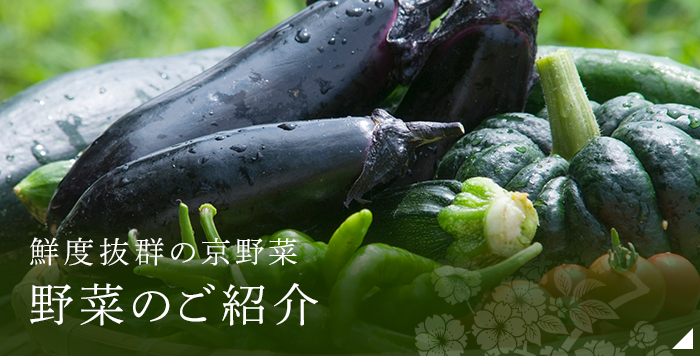 野菜のご紹介