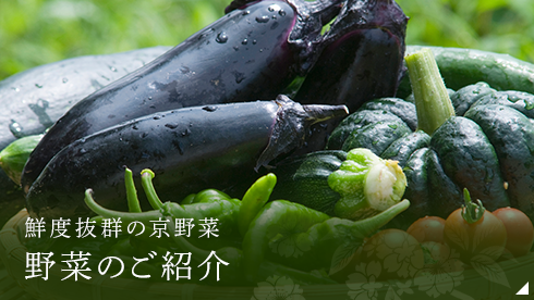 野菜のご紹介